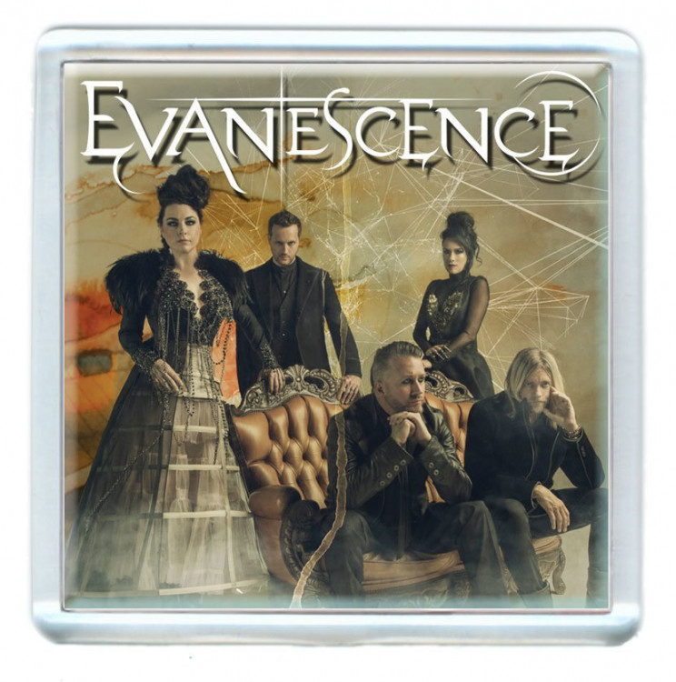 Магнит - Evanescence #1