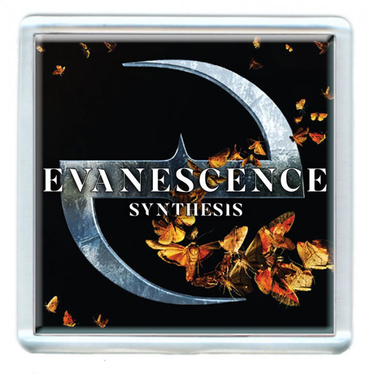 Магнит - Evanescence #2